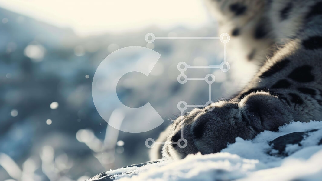 Σετ των 2 Intra Συλλεκτικό Ξύλινο Παζλ Plywood  4mm - Πόδι λεοπάρδαλης χιονιού με νιφάδες χιονιού Σε Ξύλινο Κουτί - Διαστάσεις: 10x10 cm – 25 κομμάτια