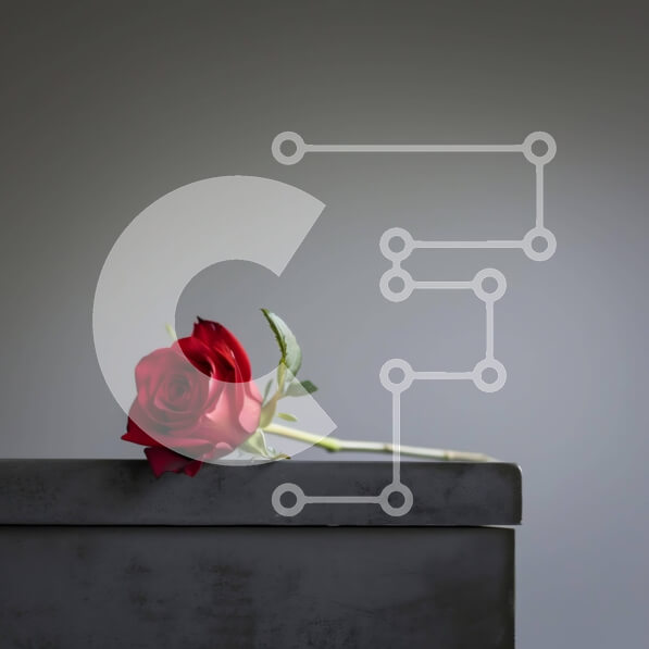 Intra Συλλεκτικό Ξύλινο Παζλ Plywood  4mm - Μονό κόκκινο τριαντάφυλλο σε μεταλλικό κουτί Σε Ξύλινο Κουτί - Διαστάσεις: 10x10 cm – 25 κομμάτια