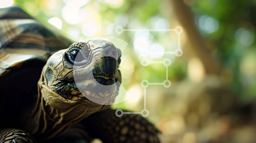 Intra Συλλεκτικό Ξύλινο Παζλ Plywood  4mm - Μεγάλη χελώνα που κοιτάζει κάτι σε απόσταση Σε Ξύλινο Κουτί - Διαστάσεις: 10x10 cm – 25 κομμάτια