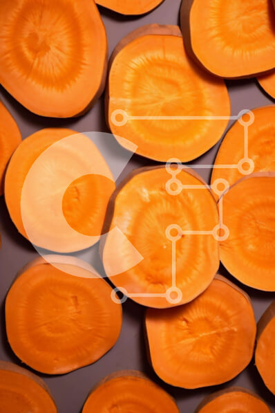 Σετ των 2 Intra Συλλεκτικό Ξύλινο Παζλ Plywood  4mm - Καρότα σε φέτες για μαγείρεμα ή ψήσιμο Σε Ξύλινο Κουτί - Διαστάσεις: 10x10 cm – 25 κομμάτια