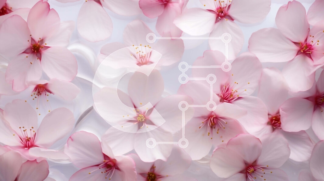 Intra Συλλεκτικό Ξύλινο Παζλ Plywood  4mm - Συστάδα από ροζ άνθη κερασιάς σε ένα τραπέζι Σε Ξύλινο Κουτί - Διαστάσεις: 10x10 cm – 25 κομμάτια