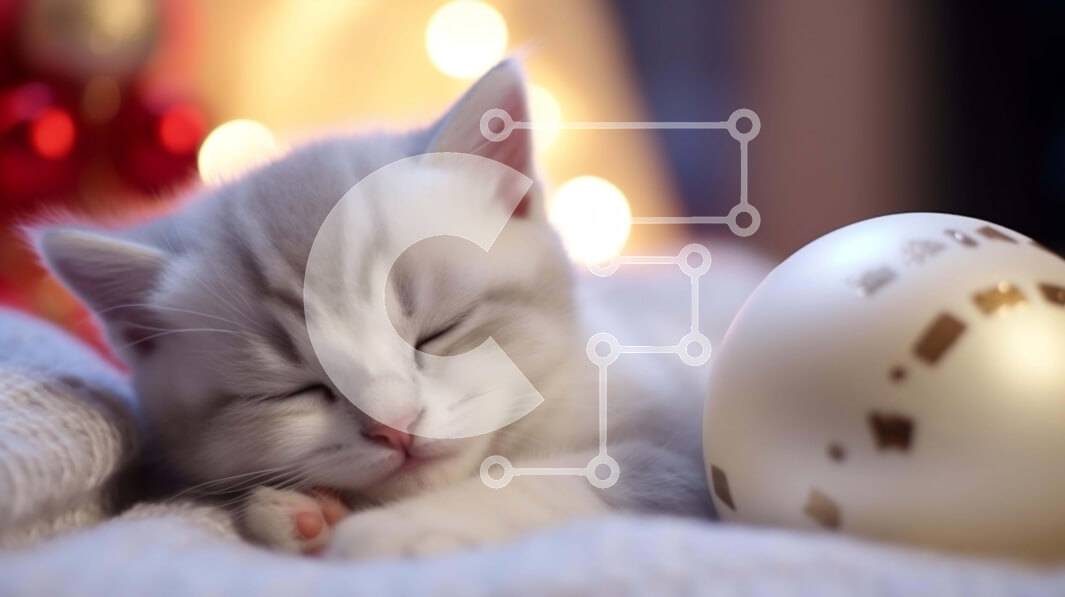 Σετ των 2 Intra Συλλεκτικό Ξύλινο Παζλ Plywood  4mm - Γκρι και λευκό γατάκι που κοιμάται δίπλα στη διακοσμητική μπάλα Σε Ξύλινο Κουτί - Διαστάσεις: 10x10 cm – 25 κομμάτια