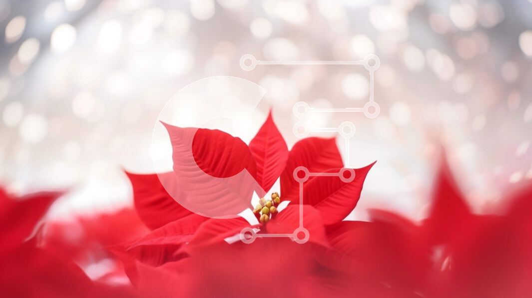 Intra Συλλεκτικό Ξύλινο Παζλ Plywood  4mm - Κόκκινο λουλούδι Poinsettia με νιφάδες χιονιού και αστραφτερά φώτα Σε Ξύλινο Κουτί - Διαστάσεις: 10x10 cm – 25 κομμάτια