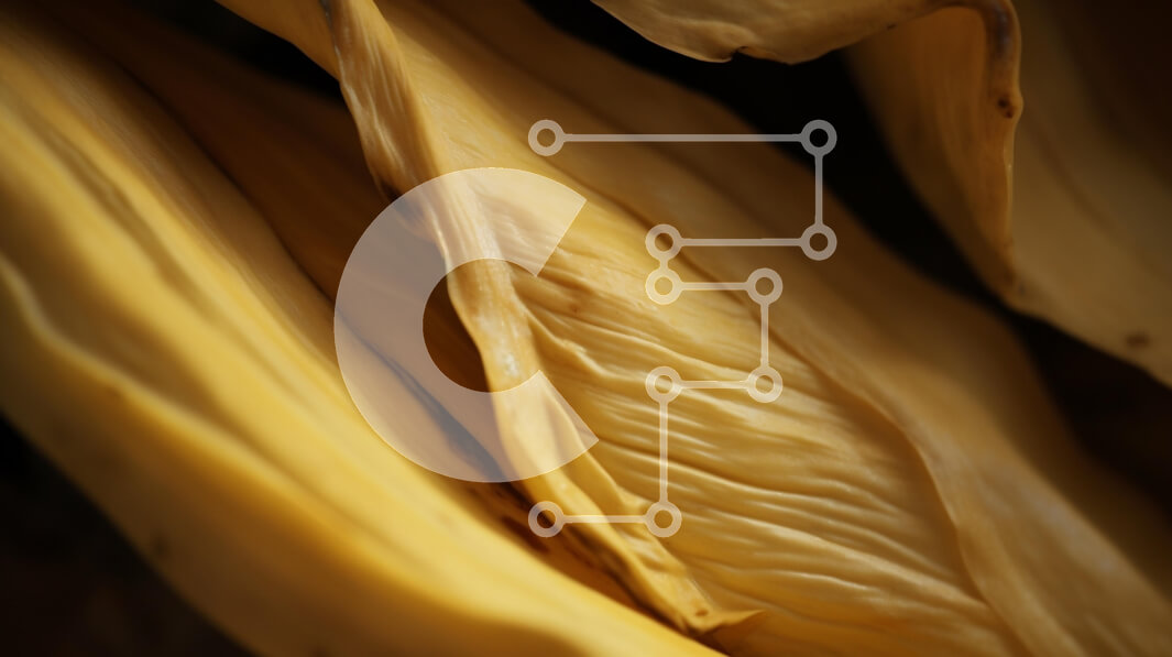 Intra Συλλεκτικό Ξύλινο Παζλ Plywood  4mm - Κοντινό πλάνο κίτρινων φύλλων μπανάνας Σε Ξύλινο Κουτί - Διαστάσεις: 10x10 cm – 25 κομμάτια