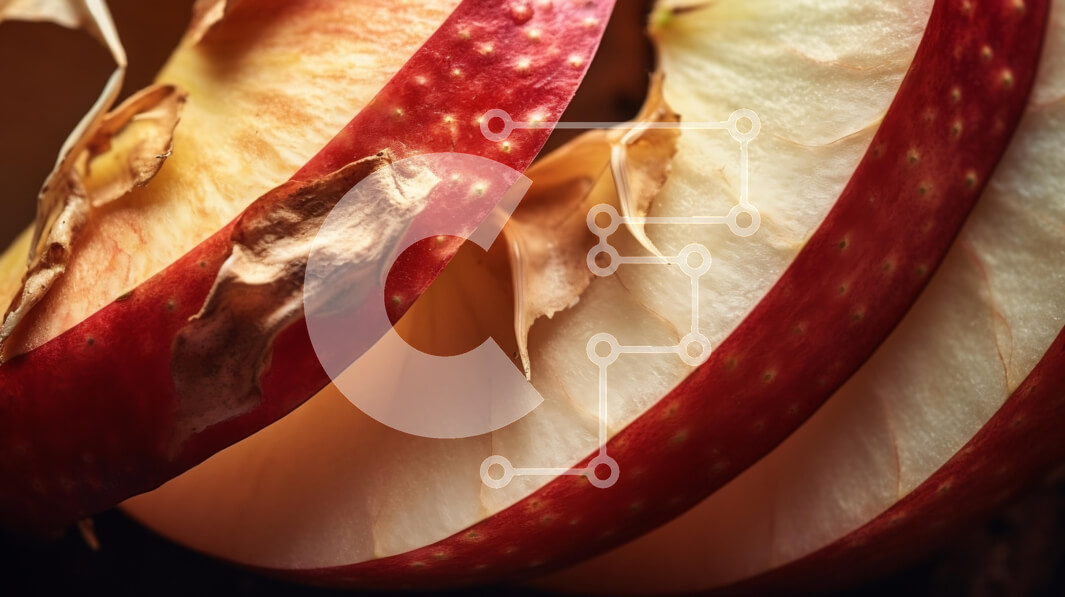 Σετ των 2 Intra Συλλεκτικό Ξύλινο Παζλ Plywood  4mm - Κοντινό πλάνο πολύχρωμες φέτες μήλου με αποξηραμένα φύλλα Σε Ξύλινο Κουτί - Διαστάσεις: 10x10 cm – 25 κομμάτια