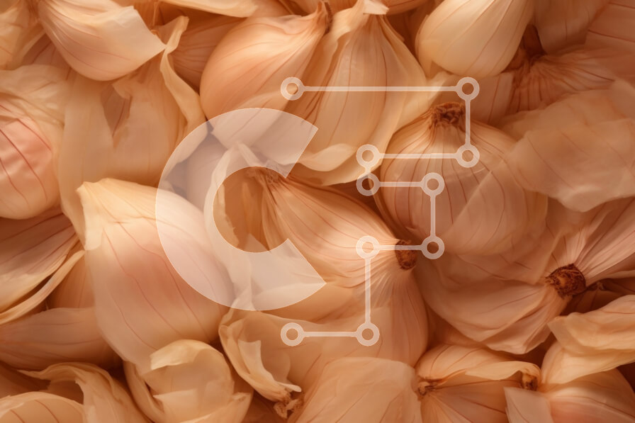 Σετ των 2 Intra Συλλεκτικό Ξύλινο Παζλ Plywood  4mm - Γκρο πλαν εικόνα των βολβών σκόρδου Σε Ξύλινο Κουτί - Διαστάσεις: 10x10 cm – 25 κομμάτια