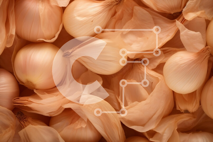 Σετ των 2 Intra Συλλεκτικό Ξύλινο Παζλ Plywood  4mm - Ποικιλία κρεμμυδιών τυλιγμένα σε χαρτοπετσέτες Σε Ξύλινο Κουτί - Διαστάσεις: 10x10 cm – 25 κομμάτια