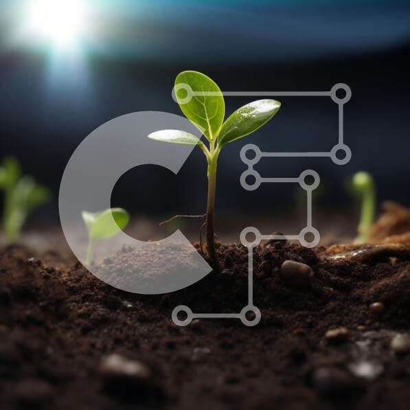 Intra Συλλεκτικό Ξύλινο Παζλ Plywood  4mm - Νεαρό φυτό που βλασταίνει στο έδαφος με το φως του ήλιου Σε Ξύλινο Κουτί - Διαστάσεις: 10x10 cm – 25 κομμάτια