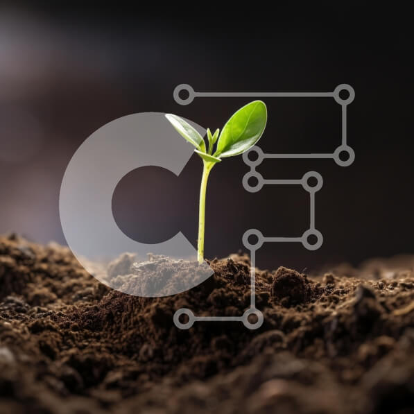 Intra Συλλεκτικό Ξύλινο Παζλ Plywood  4mm - Νέο σπορόφυτο που αναπτύσσεται από το έδαφος Σε Ξύλινο Κουτί - Διαστάσεις: 10x10 cm – 25 κομμάτια