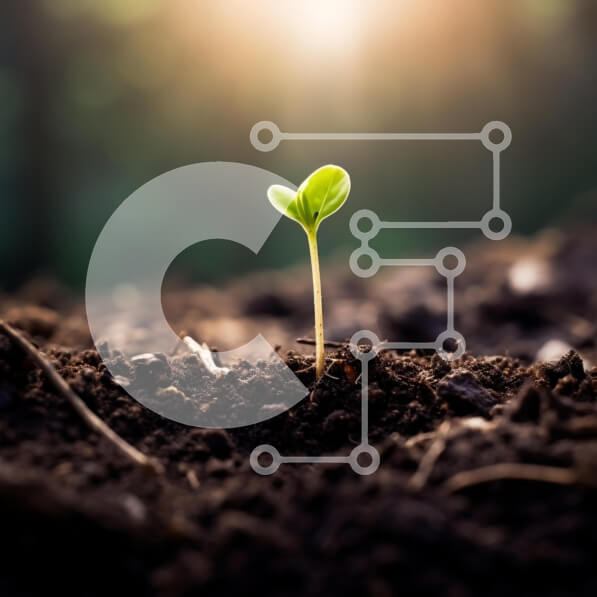 Intra Συλλεκτικό Ξύλινο Παζλ Plywood  4mm - Φρέσκο ​​βλαστάρι που αναδύεται από το έδαφος Σε Ξύλινο Κουτί - Διαστάσεις: 10x10 cm – 25 κομμάτια