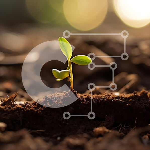 Intra Συλλεκτικό Ξύλινο Παζλ Plywood  4mm - Νέο σπορόφυτο που αναδύεται από το έδαφος Σε Ξύλινο Κουτί - Διαστάσεις: 10x10 cm – 25 κομμάτια