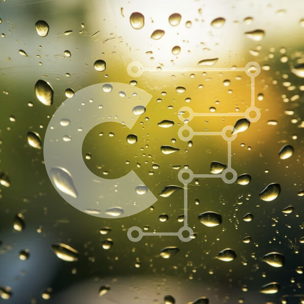 Intra Συλλεκτικό Ξύλινο Παζλ Plywood  4mm - Σταγόνες βροχής σε γυαλί με θολή πρασινάδα Σε Ξύλινο Κουτί - Διαστάσεις Puzzle: 10x10 cm – 25 κομμάτια