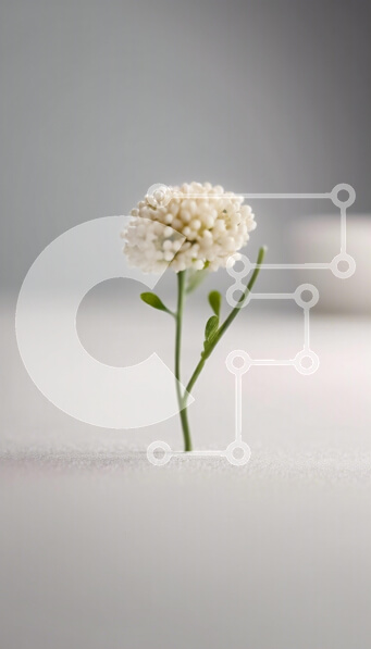 Σετ των 2 Intra Συλλεκτικό Ξύλινο Παζλ Plywood  4mm - Λεπτό λευκό λουλούδι σε λεία επιφάνεια Σε Ξύλινο Κουτί - Διαστάσεις: 10x10 cm – 25 κομμάτια