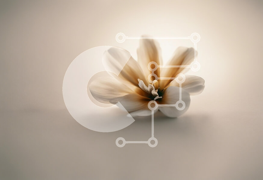 Intra Συλλεκτικό Ξύλινο Παζλ Plywood  4mm - Λεπτό λουλούδι με μαλακά πέταλα Σε Ξύλινο Κουτί - Διαστάσεις Puzzle: 10x10 cm – 25 κομμάτια