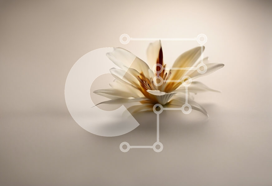 Intra Συλλεκτικό Ξύλινο Παζλ Plywood  4mm - Κομψό λευκό λουλούδι σε ουδέτερο φόντο Σε Ξύλινο Κουτί - Διαστάσεις Puzzle: 10x10 cm – 25 κομμάτια