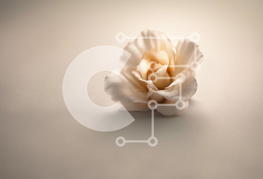 Intra Συλλεκτικό Ξύλινο Παζλ Plywood  4mm - Λεπτό λουλούδι σε μαλακή επιφάνεια Σε Ξύλινο Κουτί - Διαστάσεις Puzzle: 10x10 cm – 25 κομμάτια