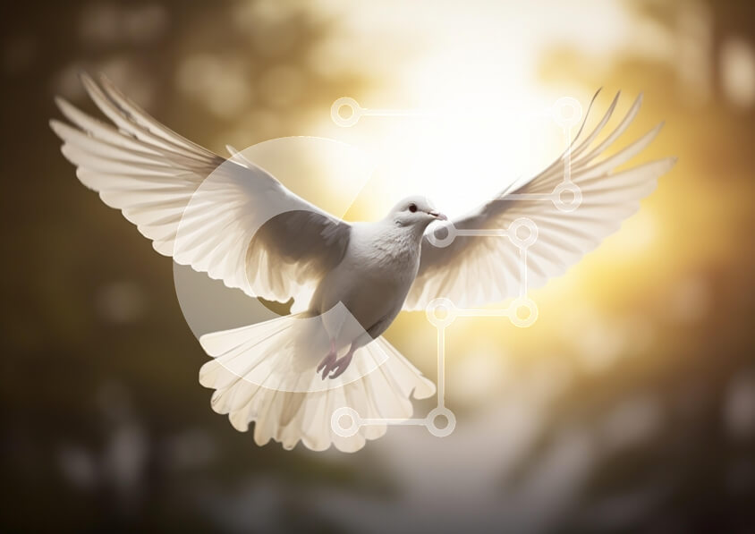 Σετ των 2 Intra Συλλεκτικό Ξύλινο Παζλ Plywood  4mm - Λευκό Περιστέρι σε πτήση Σε Ξύλινο Κουτί - Διαστάσεις: 10x10 cm – 25 κομμάτια