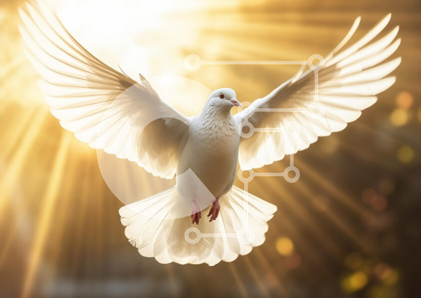 Σετ των 2 Intra Συλλεκτικό Ξύλινο Παζλ Plywood  4mm - Λευκό Περιστέρι σε πτήση με τις ακτίνες του ήλιου Σε Ξύλινο Κουτί - Διαστάσεις: 10x10 cm – 25 κομμάτια