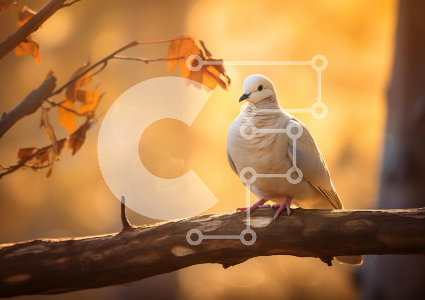 Σετ των 2 Intra Συλλεκτικό Ξύλινο Παζλ Plywood  4mm - Περιστέρι σκαρφαλωμένο σε κλαδί στο φως του φθινοπώρου Σε Ξύλινο Κουτί - Διαστάσεις: 10x10 cm – 25 κομμάτια