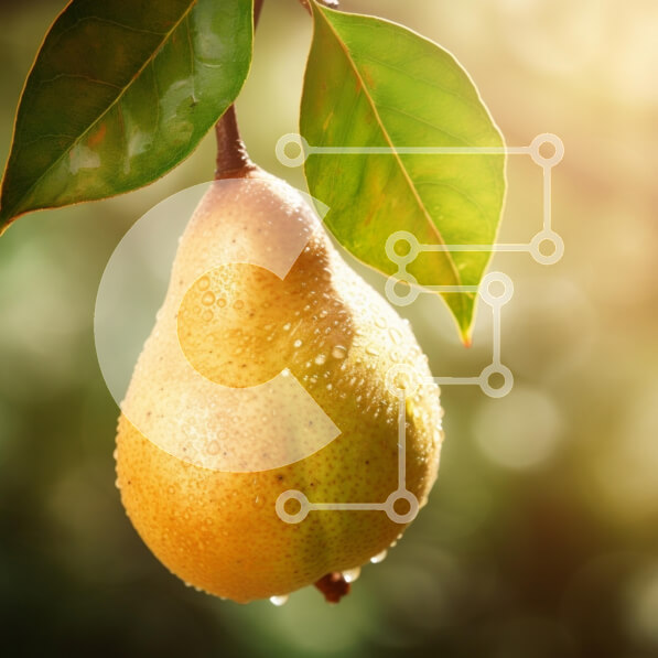 Σετ των 2 Intra Συλλεκτικό Ξύλινο Παζλ Plywood  4mm - Φρέσκο ​​αχλάδι με φύλλα Σε Ξύλινο Κουτί - Διαστάσεις: 10x10 cm – 25 κομμάτια