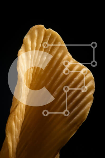 Intra Συλλεκτικό Ξύλινο Παζλ Plywood  4mm - Κοντινό πλάνο ενός αντικειμένου με υφή Σε Ξύλινο Κουτί - Διαστάσεις: 10x10 cm – 25 κομμάτια