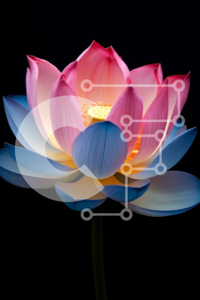 Intra Συλλεκτικό Ξύλινο Παζλ Plywood  4mm - Λουλούδι Lotus σε ροζ και μπλε σε μαύρο φόντο Σε Ξύλινο Κουτί - Διαστάσεις Puzzle: 10x10 cm – 25 κομμάτια