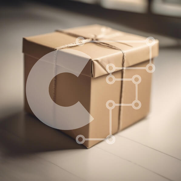 Intra Συλλεκτικό Ξύλινο Παζλ Plywood  4mm - Τυλιγμένο κουτί δώρου σε ένα πάτωμα Σε Ξύλινο Κουτί - Διαστάσεις: 10x10 cm – 25 κομμάτια