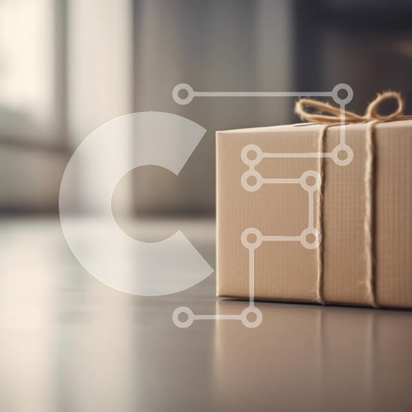 Intra Συλλεκτικό Ξύλινο Παζλ Plywood  4mm - Τυλιγμένο κουτί δώρου στο πάτωμα Σε Ξύλινο Κουτί - Διαστάσεις: 10x10 cm – 25 κομμάτια