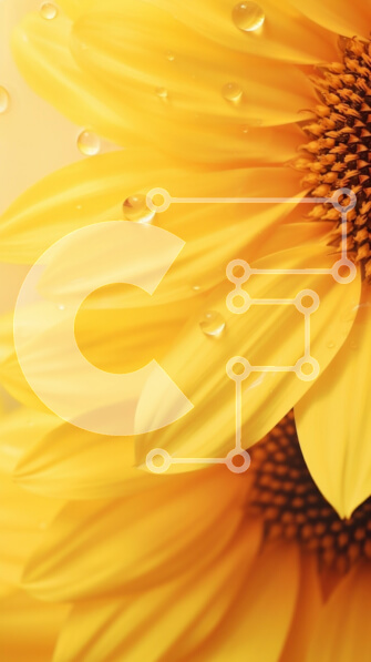 Σετ των 2 Intra Συλλεκτικό Ξύλινο Παζλ Plywood  4mm - Κοντινό πλάνο του ηλίανθου με σταγονίδια νερού Σε Ξύλινο Κουτί - Διαστάσεις: 10x10 cm – 25 κομμάτια