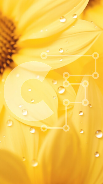 Intra Συλλεκτικό Ξύλινο Παζλ Plywood  4mm - Κοντινό πλάνο κίτρινων πετάλων λουλουδιών με σταγονίδια νερού Σε Ξύλινο Κουτί - Διαστάσεις Puzzle: 10x10 cm – 25 κομμάτια