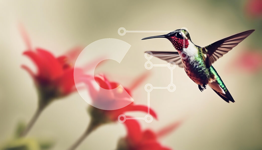 Intra Συλλεκτικό Ξύλινο Παζλ Plywood  4mm - Κολίμπρι σε πτήση ανάμεσα σε κόκκινα λουλούδια Σε Ξύλινο Κουτί - Διαστάσεις: 10x10 cm – 25 κομμάτια