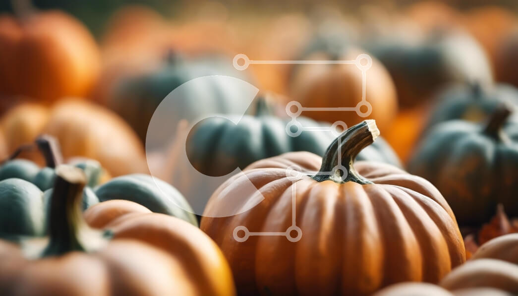 Intra Συλλεκτικό Ξύλινο Παζλ Plywood  4mm - Φθινοπωρινές κολοκύθες σε ένα χωράφι Σε Ξύλινο Κουτί - Διαστάσεις: 10x10 cm – 25 κομμάτια