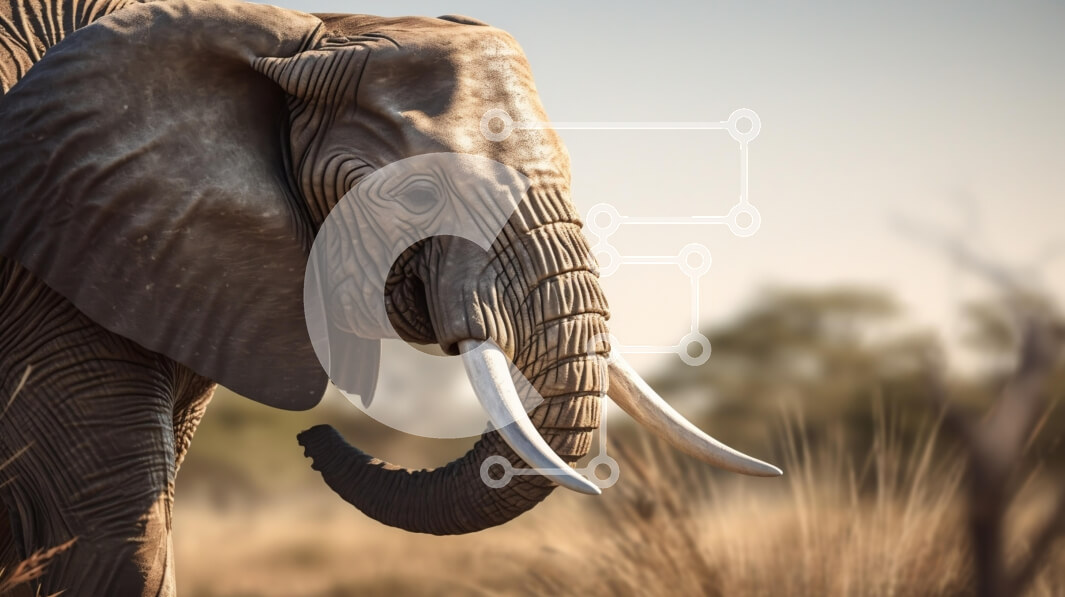 Intra Συλλεκτικό Ξύλινο Παζλ Plywood  4mm - Μεγαλοπρεπής ελέφαντας στην αφρικανική σαβάνα Σε Ξύλινο Κουτί - Διαστάσεις: 10x10 cm – 25 κομμάτια