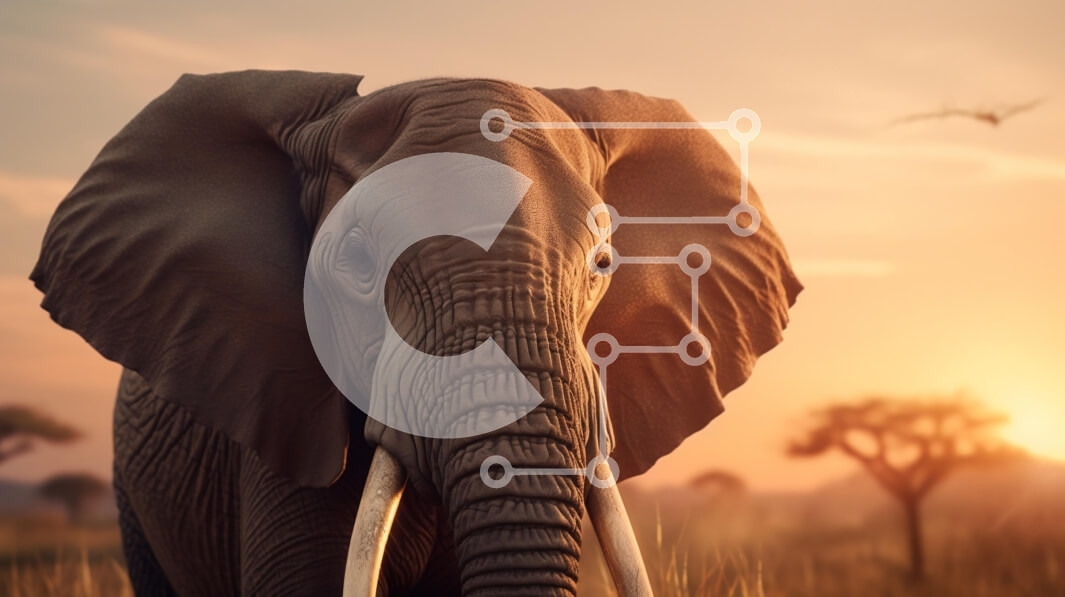 Σετ των 2 Intra Συλλεκτικό Ξύλινο Παζλ Plywood  4mm - Ελέφαντας στο ηλιοβασίλεμα στη Σαβάνα Σε Ξύλινο Κουτί - Διαστάσεις: 10x10 cm – 25 κομμάτια