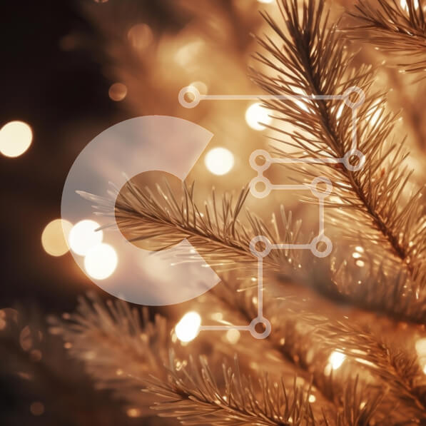 Intra Συλλεκτικό Ξύλινο Παζλ Plywood  4mm - Κοντινό πλάνο ενός κλαδιού χριστουγεννιάτικου δέντρου με φώτα Σε Ξύλινο Κουτί - Διαστάσεις: 10x10 cm – 25 κομμάτια