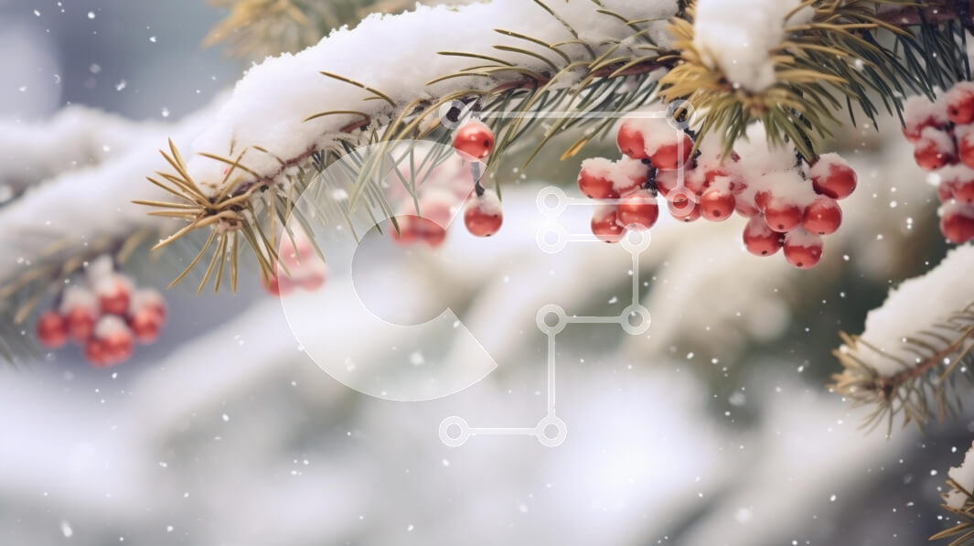 Intra Συλλεκτικό Ξύλινο Παζλ Plywood  4mm - Χιονισμένο κλαδί πεύκου με κόκκινα μούρα το χειμώνα Σε Ξύλινο Κουτί - Διαστάσεις: 10x10 cm – 25 κομμάτια