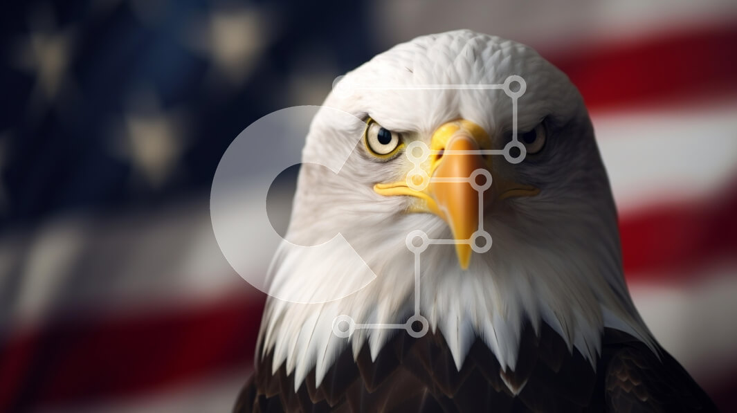 Σετ των 2 Intra Συλλεκτικό Ξύλινο Παζλ Plywood  4mm - Φαλακρός αετός με φόντο αμερικανική σημαία Σε Ξύλινο Κουτί - Διαστάσεις: 10x10 cm – 25 κομμάτια