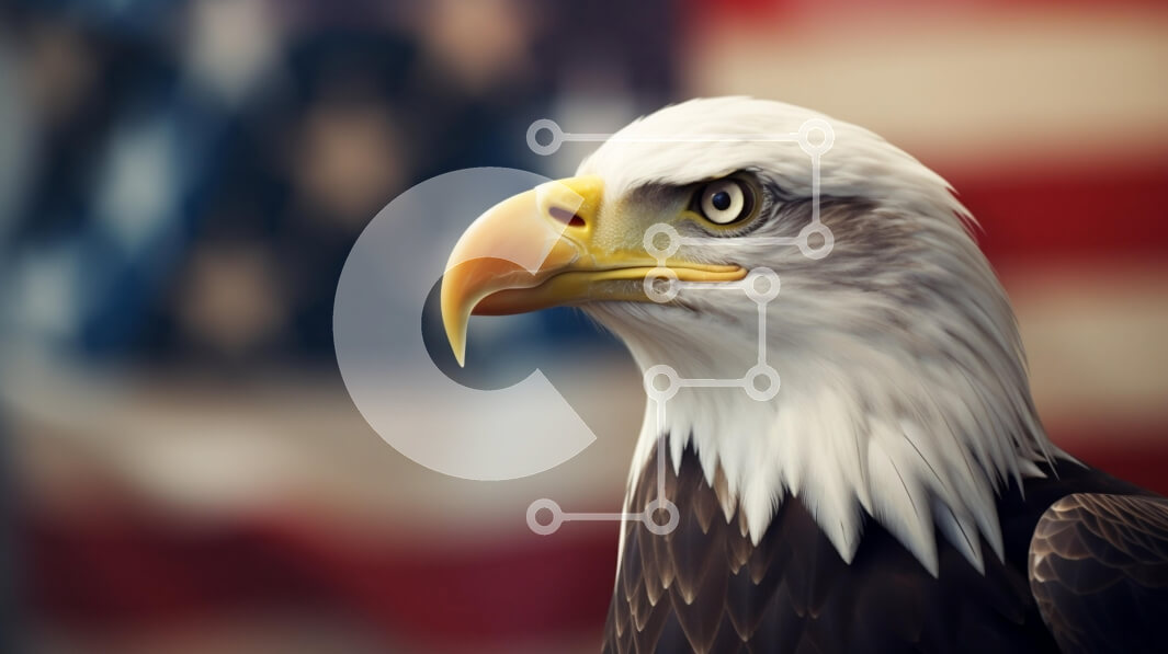 Σετ των 2 Intra Συλλεκτικό Ξύλινο Παζλ Plywood  4mm - Φαλακρός αετός κατά της αμερικανικής σημαίας Σε Ξύλινο Κουτί - Διαστάσεις: 10x10 cm – 25 κομμάτια