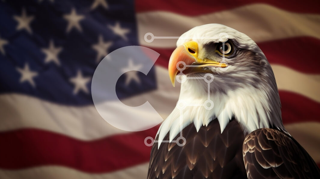 Intra Συλλεκτικό Ξύλινο Παζλ Plywood  4mm - Φαλακρός αετός ενάντια στην αμερικανική σημαία Σε Ξύλινο Κουτί - Διαστάσεις: 10x10 cm – 25 κομμάτια