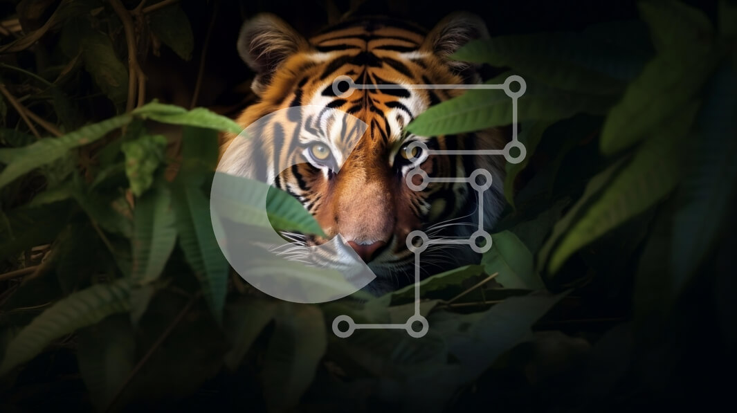 Σετ των 2 Intra Συλλεκτικό Ξύλινο Παζλ Plywood  4mm - Τίγρη στη ζούγκλα Σε Ξύλινο Κουτί - Διαστάσεις: 10x10 cm – 25 κομμάτια