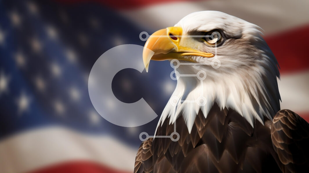 Σετ των 2 Intra Συλλεκτικό Ξύλινο Παζλ Plywood  4mm - Μεγαλοπρεπής φαλακρός αετός με φόντο αμερικανικής σημαίας Σε Ξύλινο Κουτί - Διαστάσεις: 10x10 cm – 25 κομμάτια