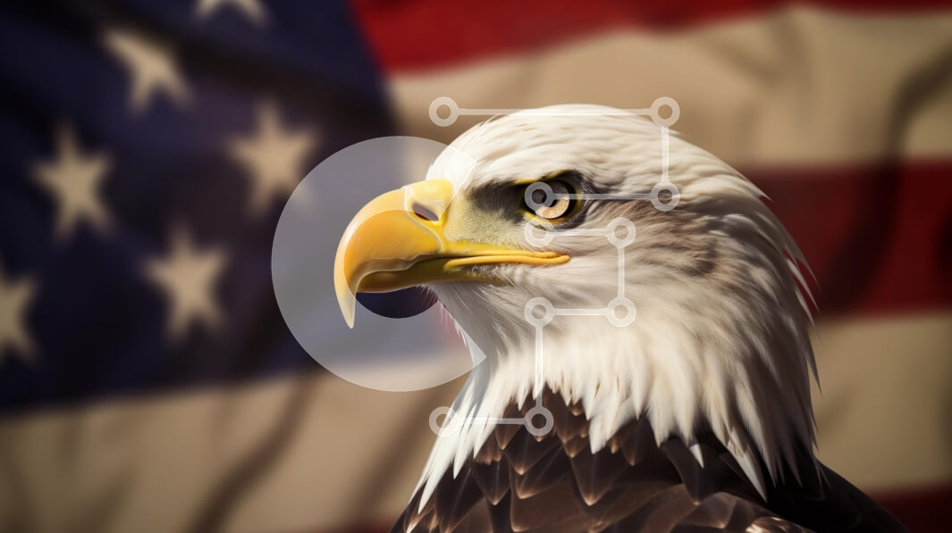 Σετ των 2 Intra Συλλεκτικό Ξύλινο Παζλ Plywood  4mm - Φαλακρός αετός ενάντια στην αμερικανική σημαία Σε Ξύλινο Κουτί - Διαστάσεις: 10x10 cm – 25 κομμάτια