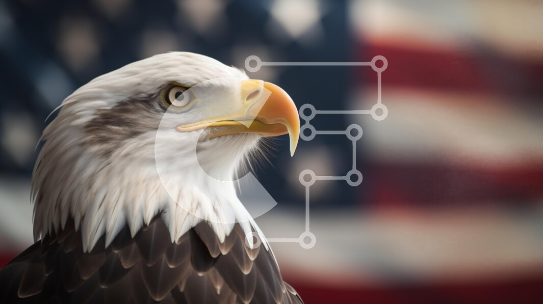 Σετ των 2 Intra Συλλεκτικό Ξύλινο Παζλ Plywood  4mm - Φαλακρός αετός με αμερικανική σημαία Σε Ξύλινο Κουτί - Διαστάσεις: 10x10 cm – 25 κομμάτια