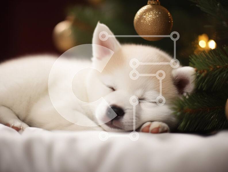 Σετ των 2 Intra Συλλεκτικό Ξύλινο Παζλ Plywood  4mm - Κουτάβι που κοιμάται κοντά στο χριστουγεννιάτικο δέντρο Σε Ξύλινο Κουτί - Διαστάσεις: 10x10 cm – 25 κομμάτια