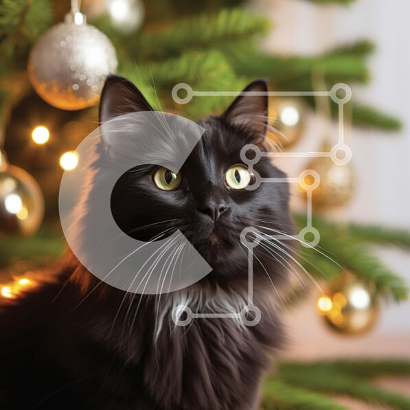 Intra Συλλεκτικό Ξύλινο Παζλ Plywood  4mm - Μαύρη γάτα μπροστά από ένα χριστουγεννιάτικο δέντρο Σε Ξύλινο Κουτί - Διαστάσεις: 10x10 cm – 25 κομμάτια