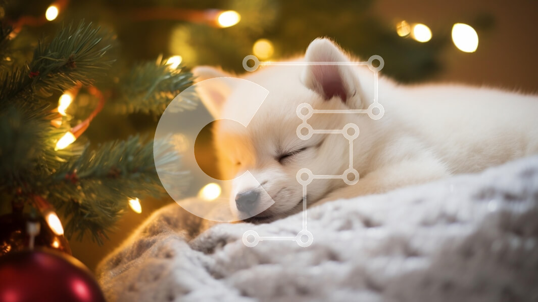 Σετ των 2 Intra Συλλεκτικό Ξύλινο Παζλ Plywood  4mm - Κουτάβι που κοιμάται δίπλα σε ένα χριστουγεννιάτικο δέντρο Σε Ξύλινο Κουτί - Διαστάσεις: 10x10 cm – 25 κομμάτια