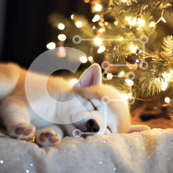 Intra Συλλεκτικό Ξύλινο Παζλ Plywood  4mm - Sleeping Puppy δίπλα στο χριστουγεννιάτικο δέντρο Σε Ξύλινο Κουτί - Διαστάσεις: 10x10 cm – 25 κομμάτια