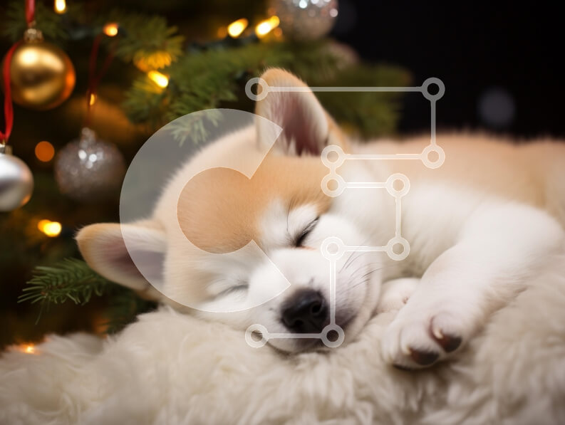 Σετ των 2 Intra Συλλεκτικό Ξύλινο Παζλ Plywood  4mm - Κοιμώμενο κουτάβι Akita κοντά σε ένα χριστουγεννιάτικο δέντρο Σε Ξύλινο Κουτί - Διαστάσεις: 10x10 cm – 25 κομμάτια