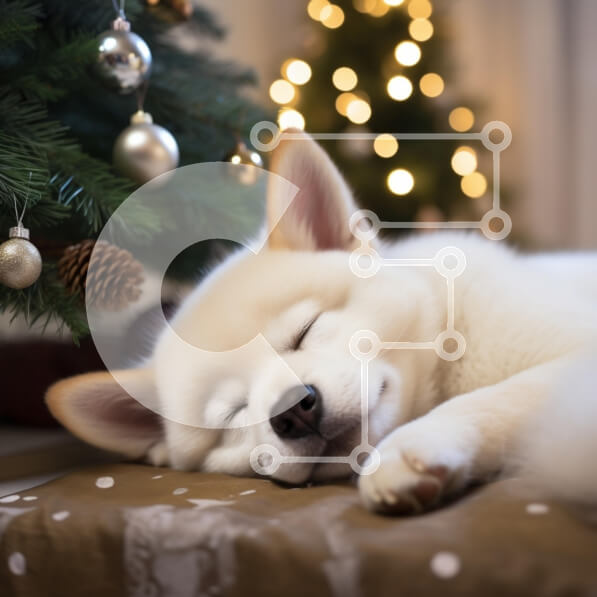 Intra Συλλεκτικό Ξύλινο Παζλ Plywood  4mm - Σκύλος ύπνου κάτω από το χριστουγεννιάτικο δέντρο Σε Ξύλινο Κουτί - Διαστάσεις: 10x10 cm – 25 κομμάτια