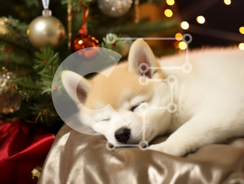 Σετ των 2 Intra Συλλεκτικό Ξύλινο Παζλ Plywood  4mm - Κουτάβι που κοιμάται που περιβάλλεται από χριστουγεννιάτικα στολίδια Σε Ξύλινο Κουτί - Διαστάσεις: 10x10 cm – 25 κομμάτια